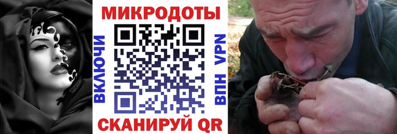 Галлюциногенные грибы Psilocybine cubensis  Аксай 